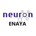NEURON-ENAYA.jpg